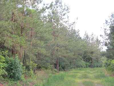 Advance Land and Timber Land for sale property_imgs/bc4_12.jpg