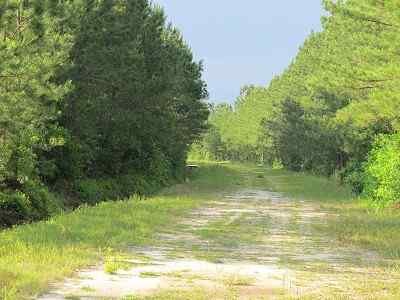 Advance Land and Timber Land for sale property_imgs/bc4_16.jpg