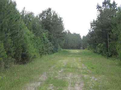 Advance Land and Timber Land for sale property_imgs/bc4_4.jpg