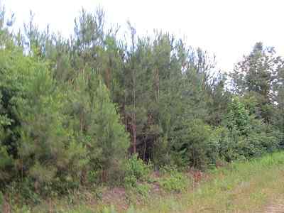Advance Land and Timber Land for sale property_imgs/bc4_5.jpg