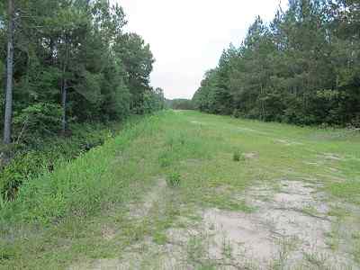 Advance Land and Timber Land for sale property_imgs/bc4_6.jpg