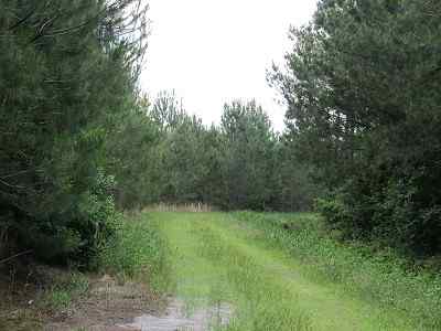 Advance Land and Timber Land for sale property_imgs/bc4_9.jpg