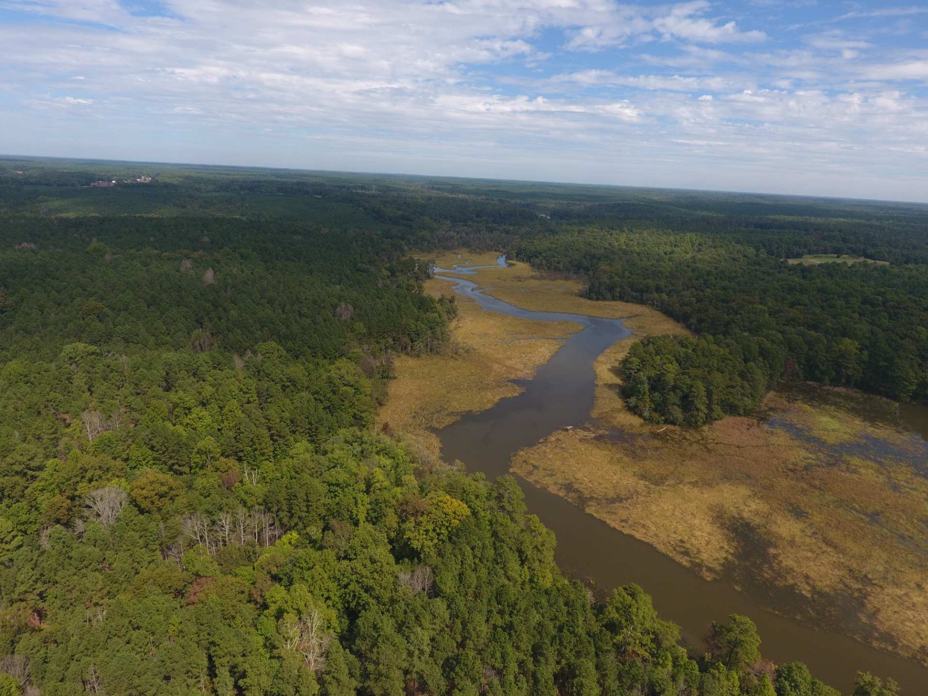 Advance Land and Timber Land for sale property_imgs/bk332323.jpg