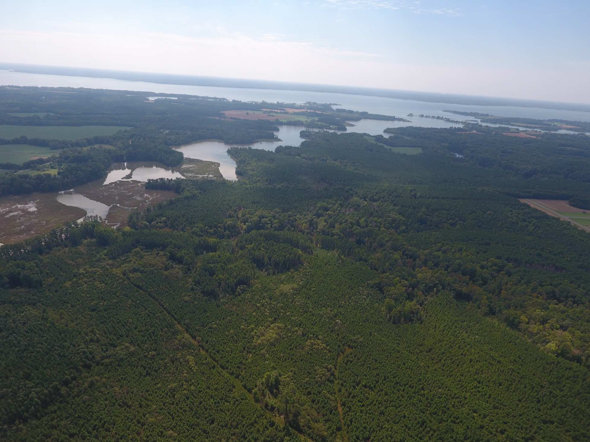 Advance Land and Timber Land for sale property_imgs/bk33236.jpg