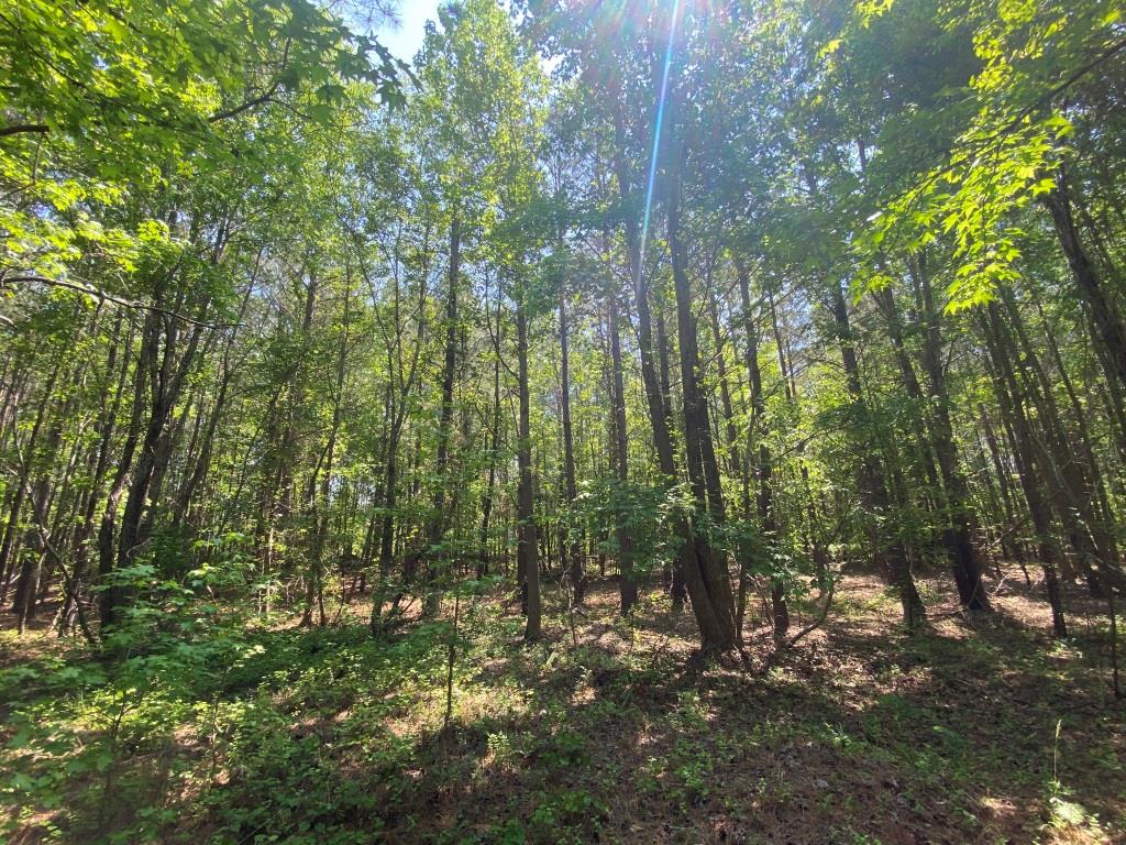 Advance Land and Timber Land for sale property_imgs/c0fda89ebd645bd7cea60fcbb5960309_2026.jpg