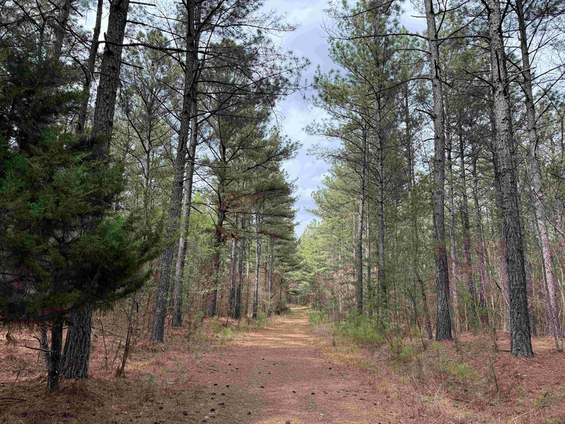Pittsylvania County Virginia Land for Sale