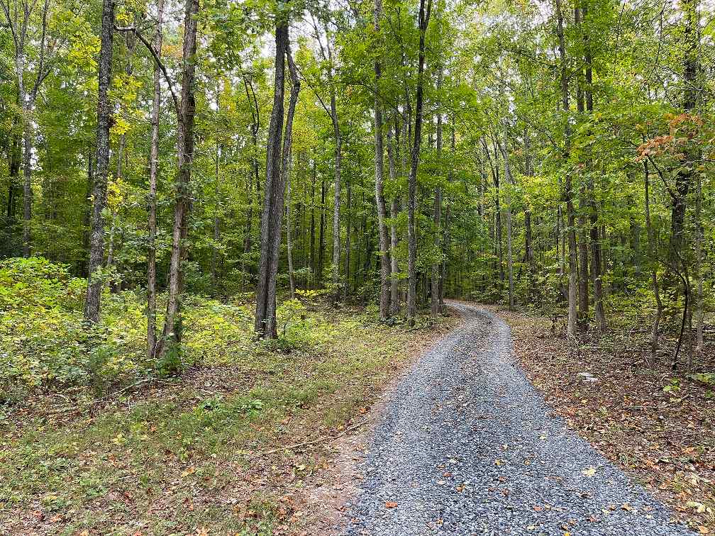Advance Land and Timber Land for sale property_imgs/c5df4f4eabf1cbcfeb50fbbf97c5289f.jpg