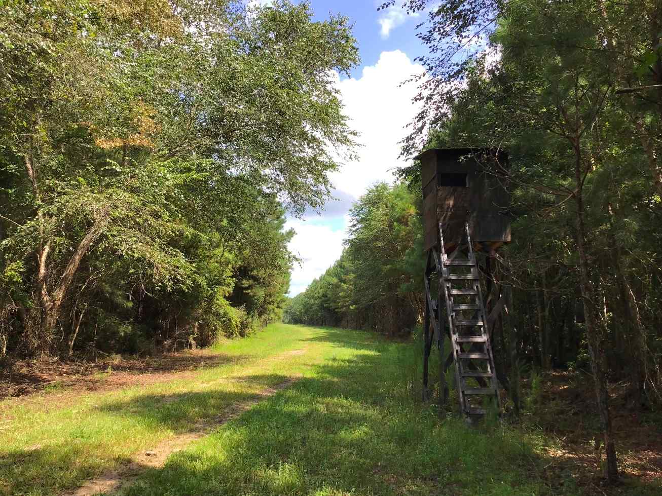 Advance Land and Timber Land for sale property_imgs/can312.jpg