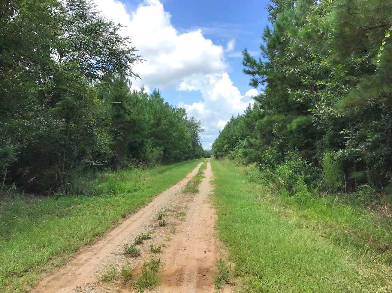 Advance Land and Timber Land for sale property_imgs/can315.jpg