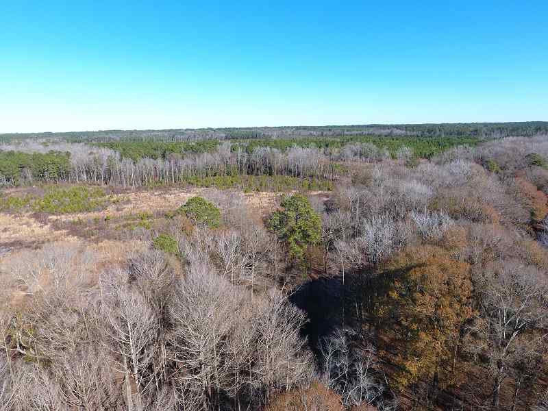 Advance Land and Timber Land for sale property_imgs/d005ce7aeef46bd18515f783fb8e87fa_1891.jpg