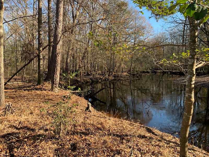 Advance Land and Timber Land for sale property_imgs/d3aeec875c479e55d1cdeea161842ec6_1891.jpg