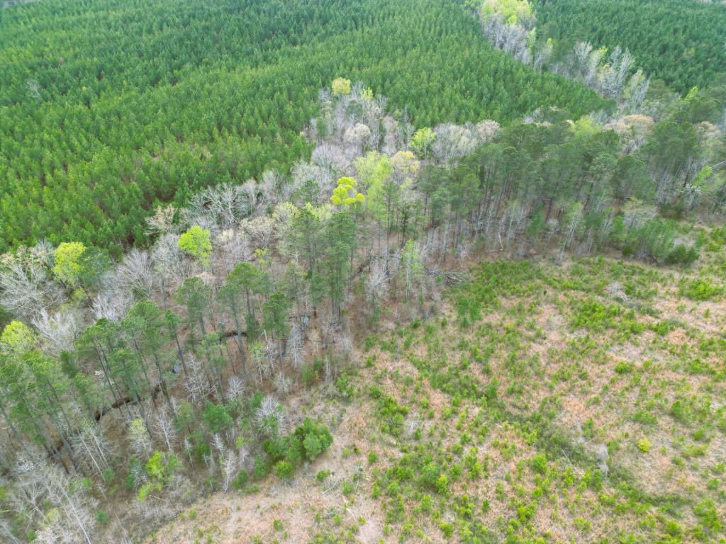 Laurens County South Carolina Land for Sale
