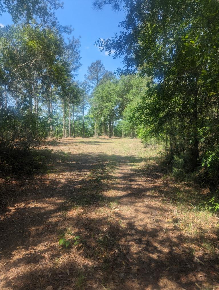 Horry County South Carolina Land for Sale