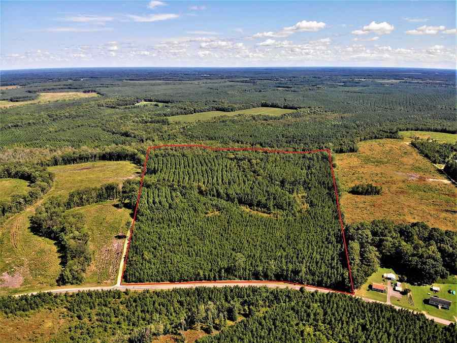 Advance Land and Timber Land for sale property_imgs/d6723e7cd6735df68d1ce4c704c29a04_1853.jpg