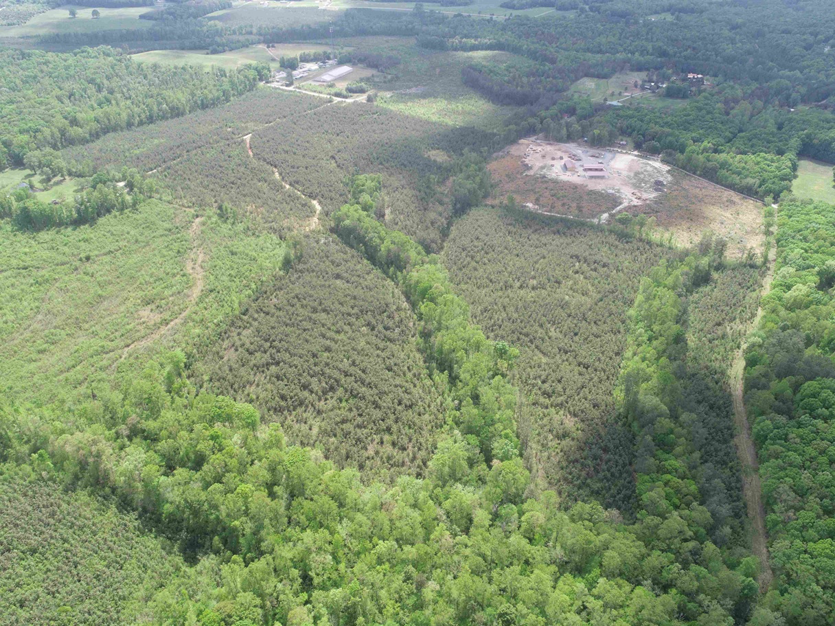 Advance Land and Timber Land for sale property_imgs/d8ab1a52f058358b947cdf8261b5e1a2_2308.jpg