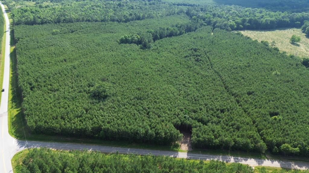 Advance Land and Timber Land for sale property_imgs/dba31bb5c75992690f20c2d3b370ec7c_2294.jpg