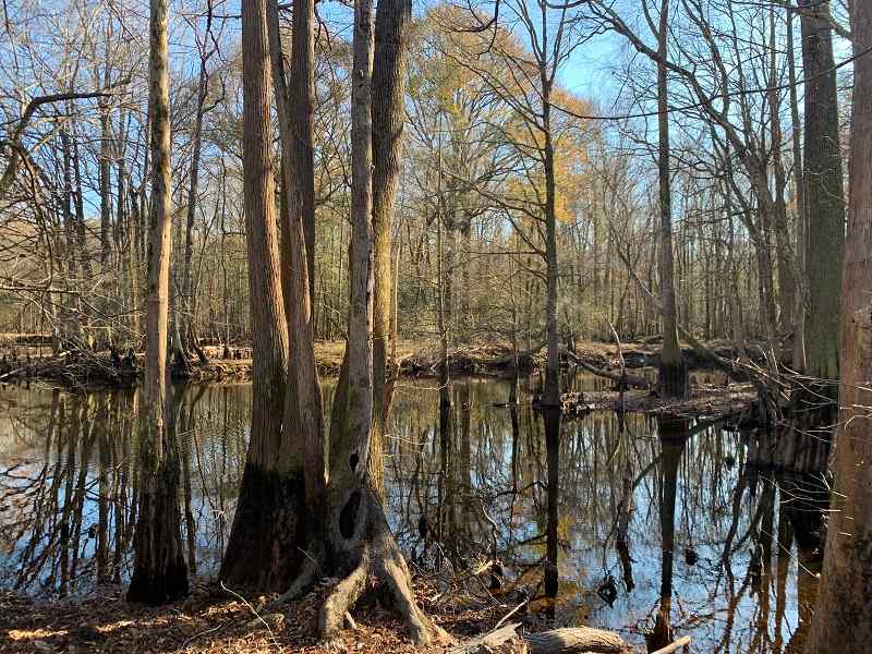 Advance Land and Timber Land for sale property_imgs/dbb240d23ce3d732b67bcfbae5956b18_1891.jpg