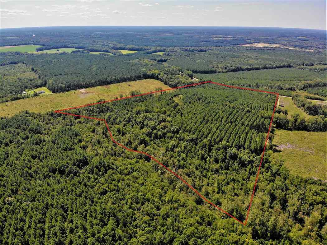 Advance Land and Timber Land for sale property_imgs/df5354693177e83e8ba089e94b7b6b55_1853.jpg