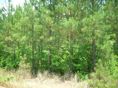 Advance Land and Timber Land for sale property_imgs/dillon_newton_1.jpg