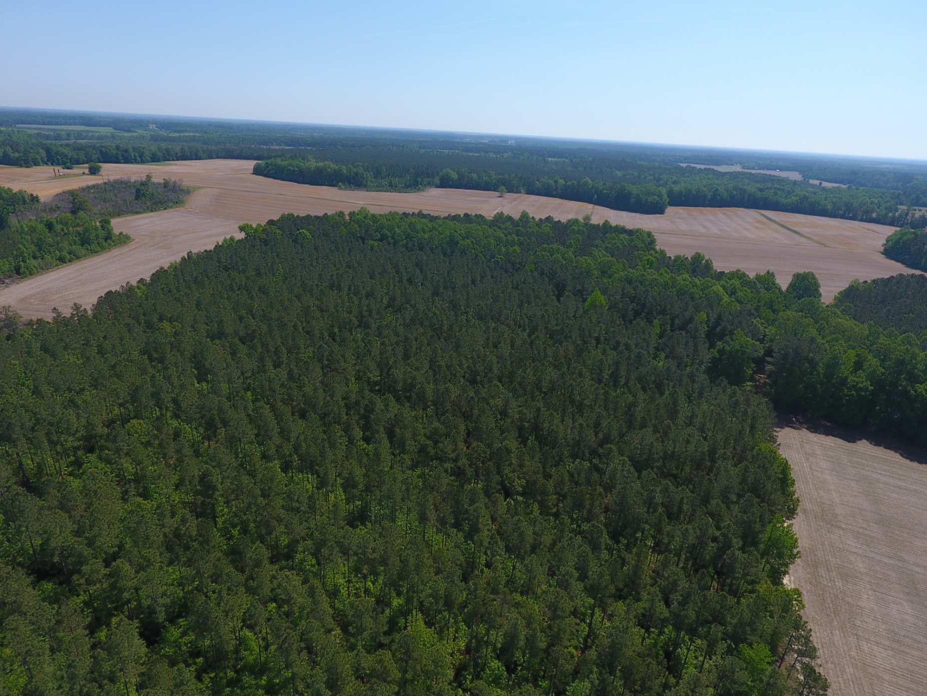 Advance Land and Timber Land for sale property_imgs/dji_112~0.jpg