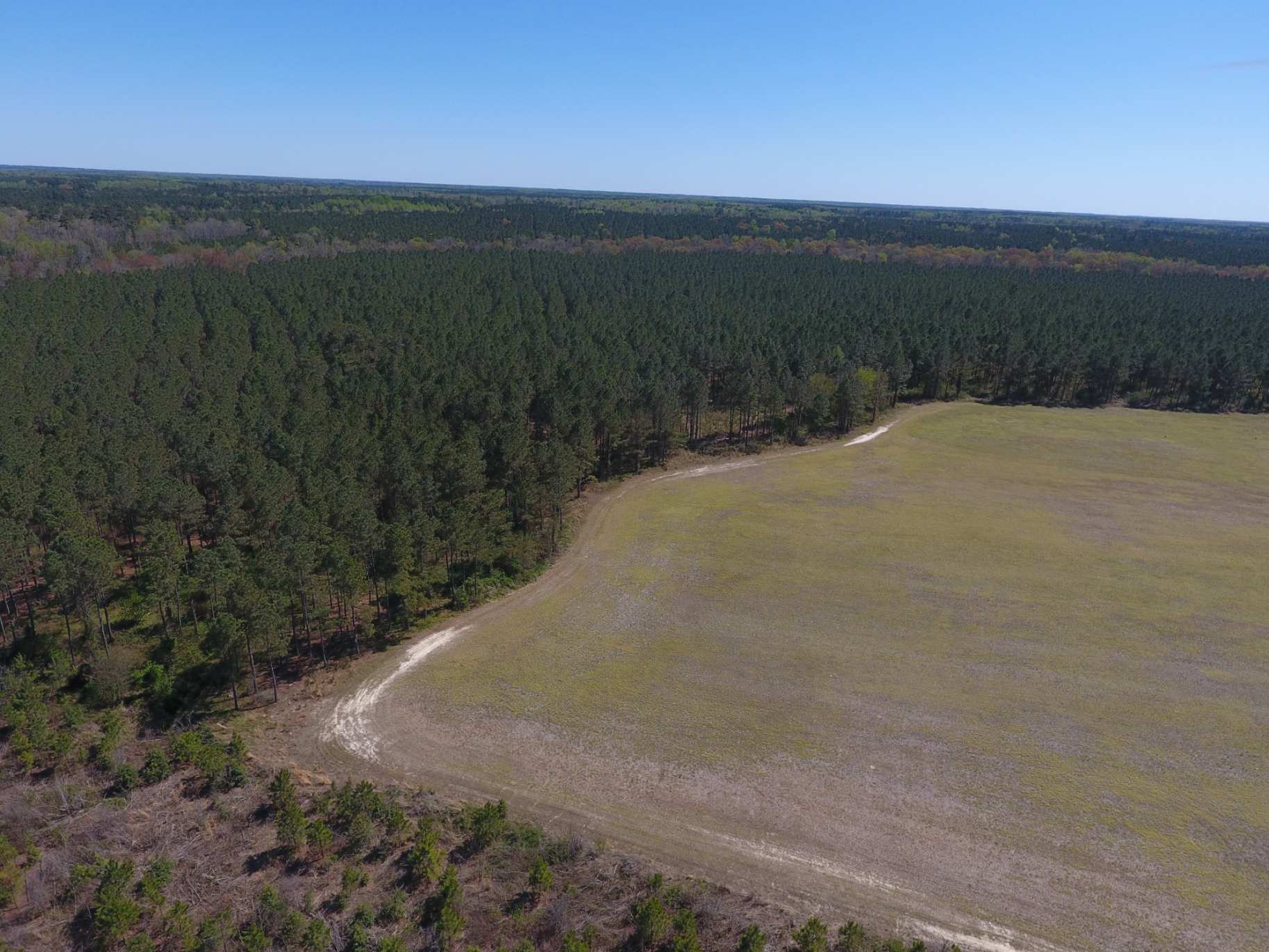 Advance Land and Timber Land for sale property_imgs/dji_115.jpg