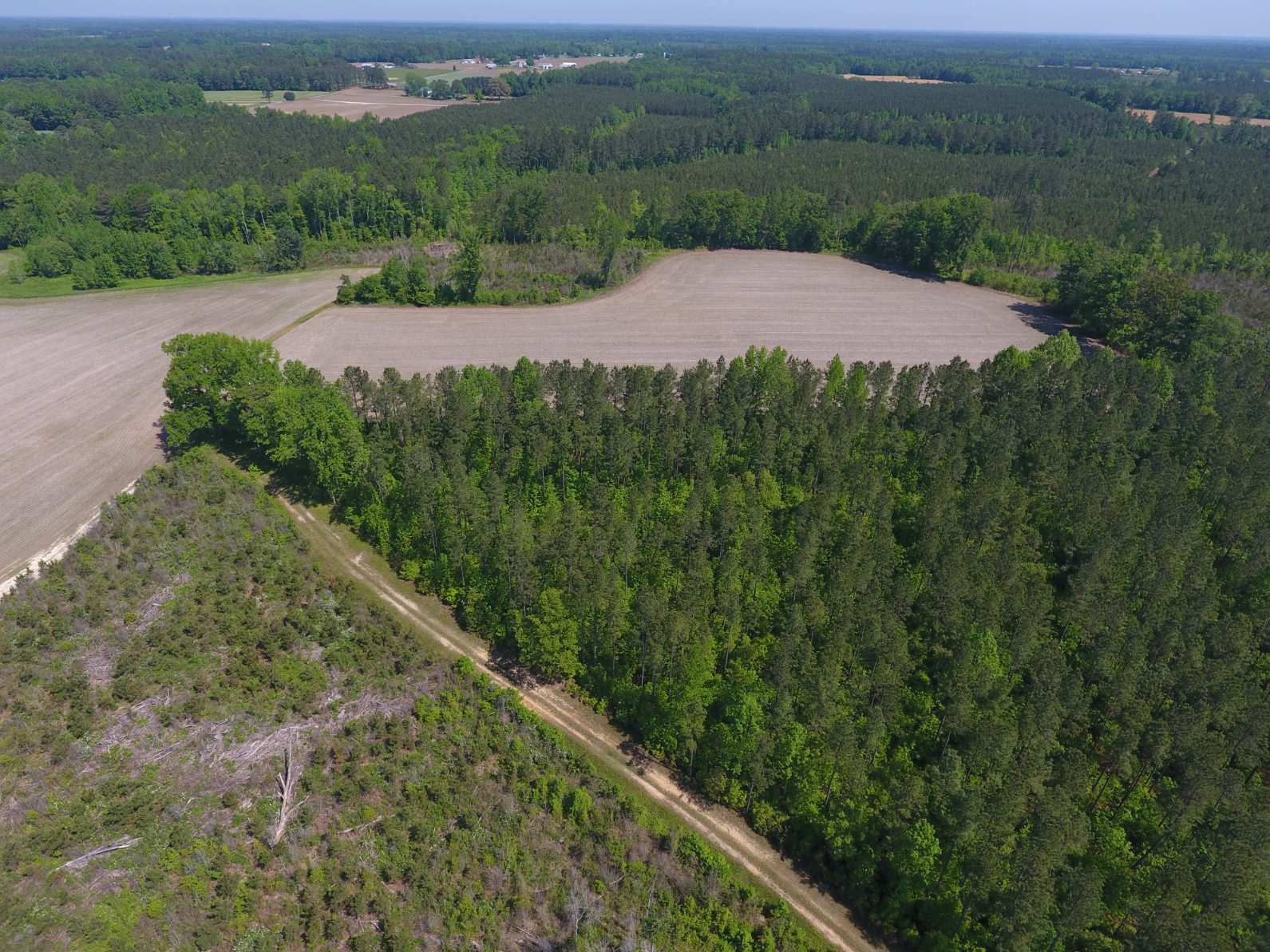 Advance Land and Timber Land for sale property_imgs/dji_11~2.jpg