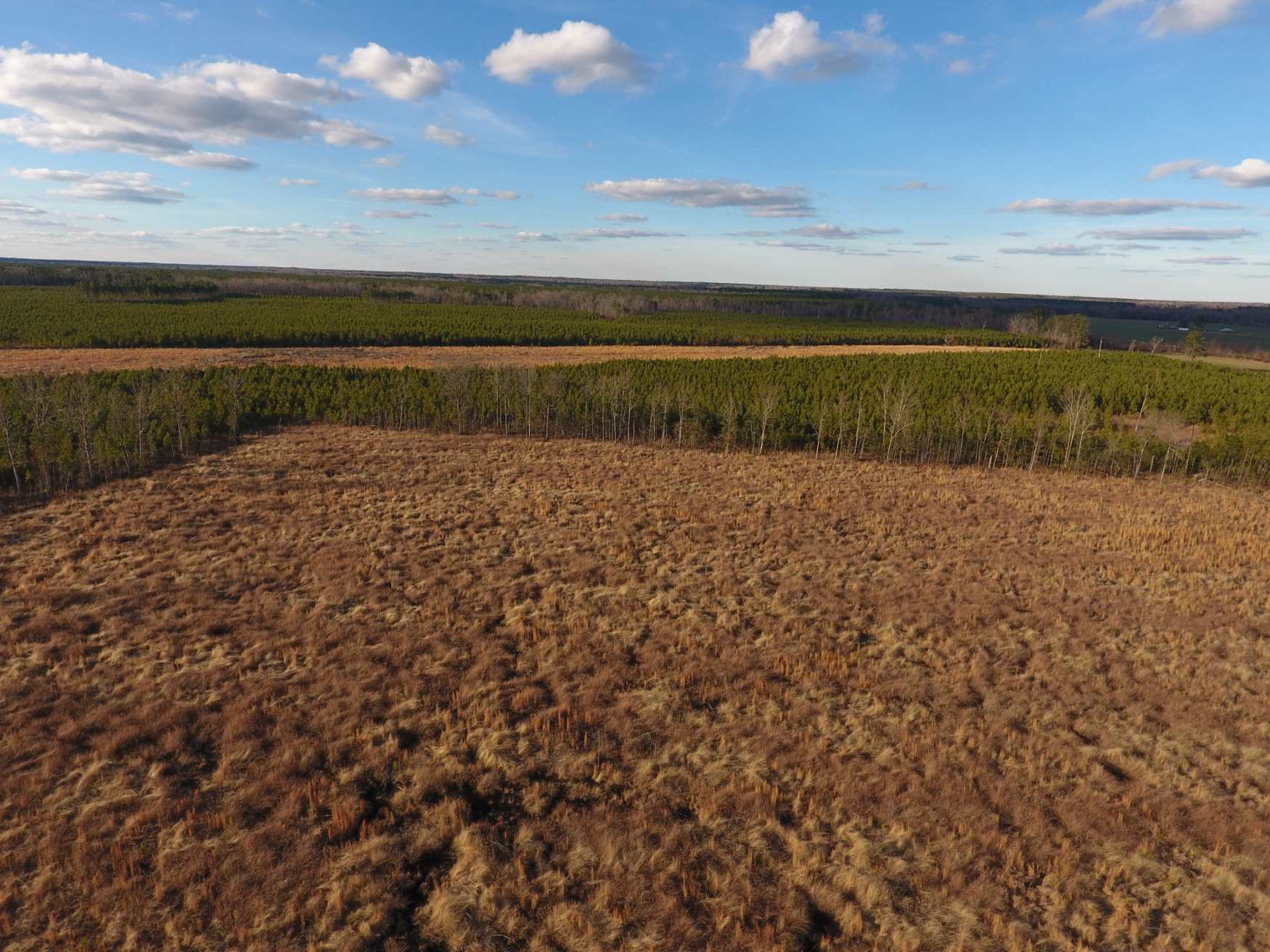 Advance Land and Timber Land for sale property_imgs/dji_1232.jpg