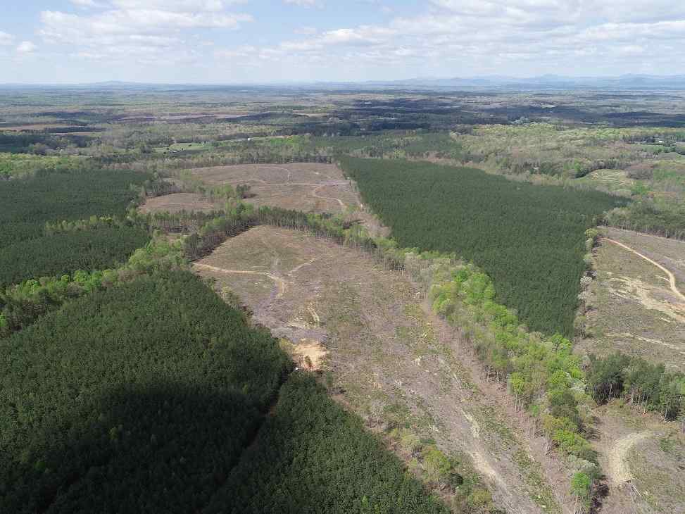 Advance Land and Timber Land for sale property_imgs/dji_13~2.jpg
