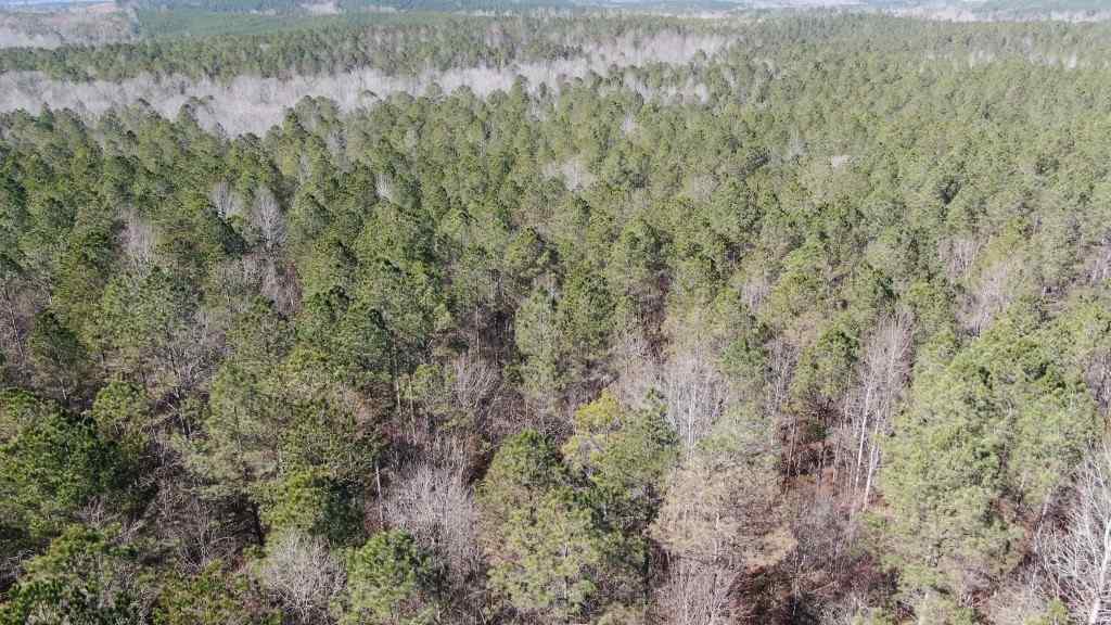 Marion County Alabama Land for Sale
