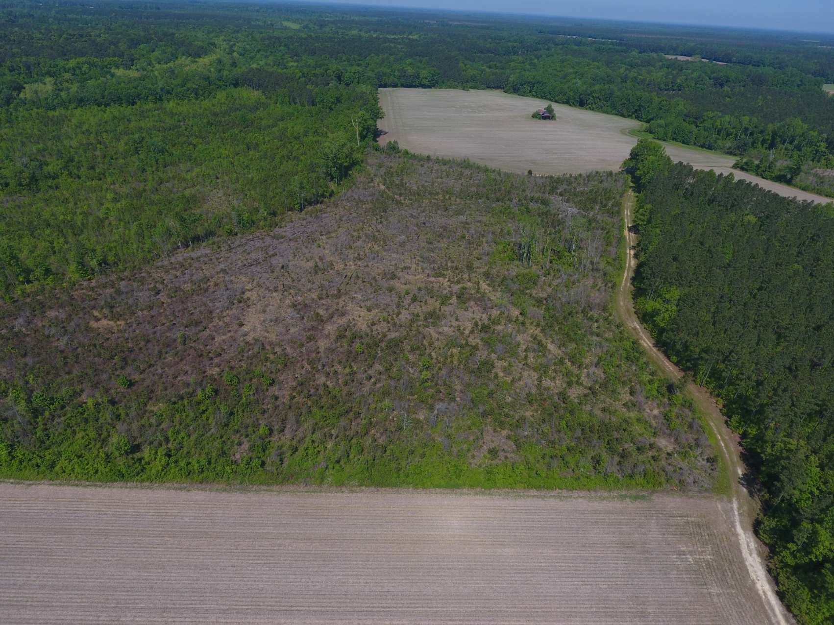 Advance Land and Timber Land for sale property_imgs/dji_17~0.jpg