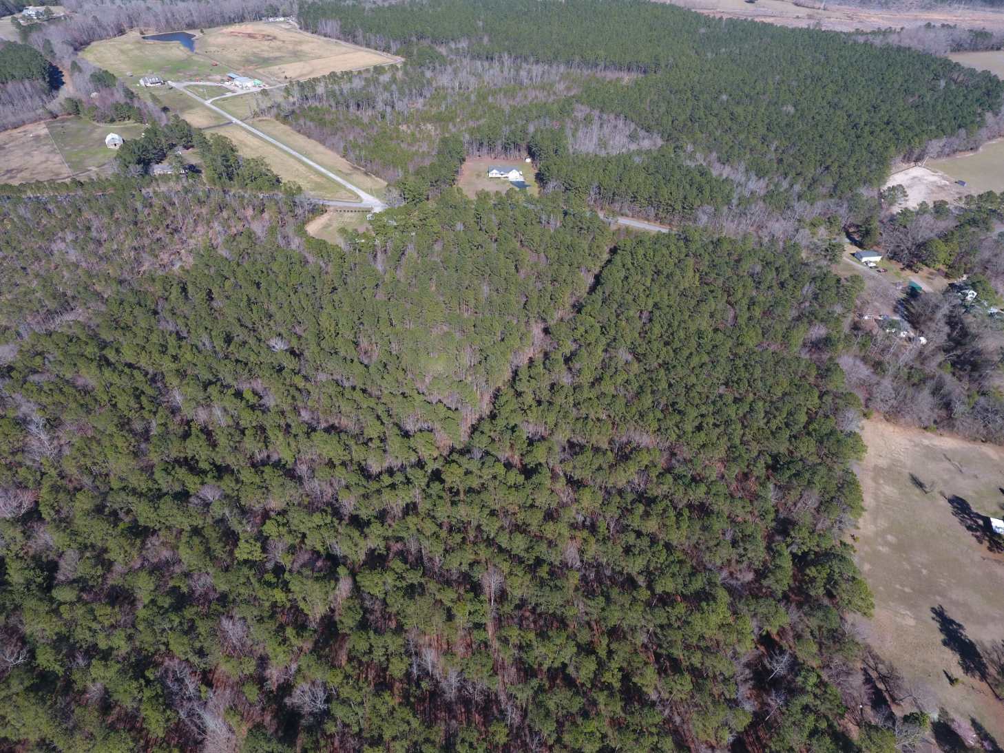 Advance Land and Timber Land for sale property_imgs/dji_1~1.jpg