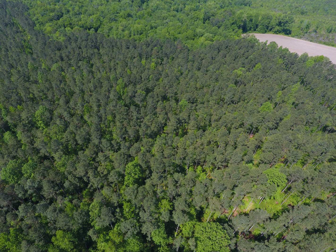 Advance Land and Timber Land for sale property_imgs/dji_1~2.jpg