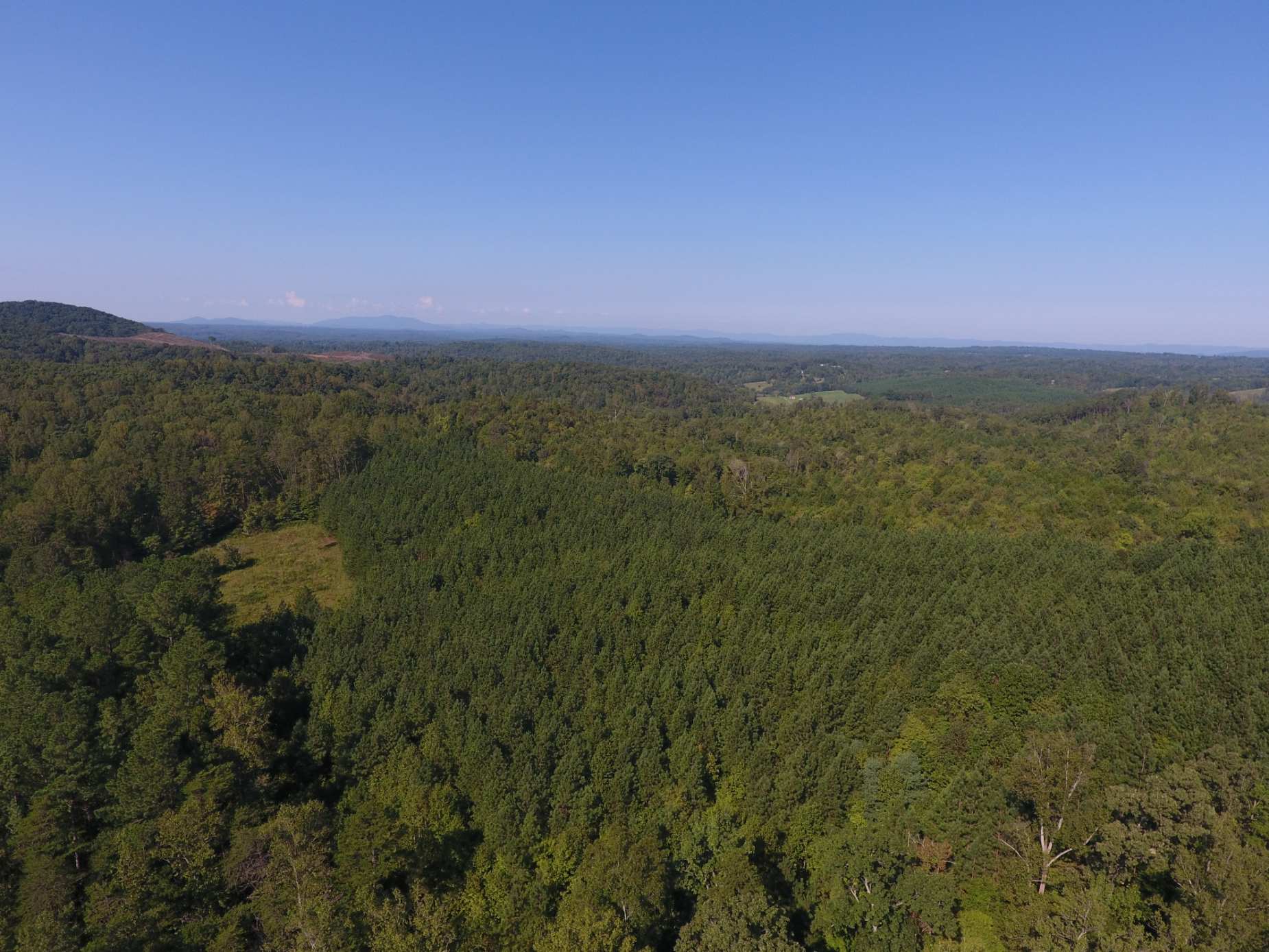 Advance Land and Timber Land for sale property_imgs/dji_26~3.jpg
