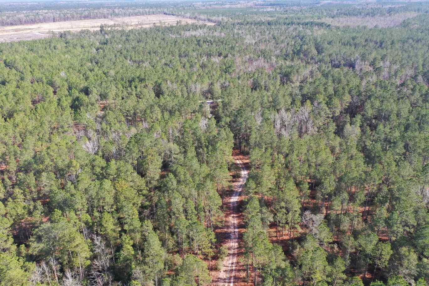 Advance Land and Timber Land for sale property_imgs/dji_444.jpg