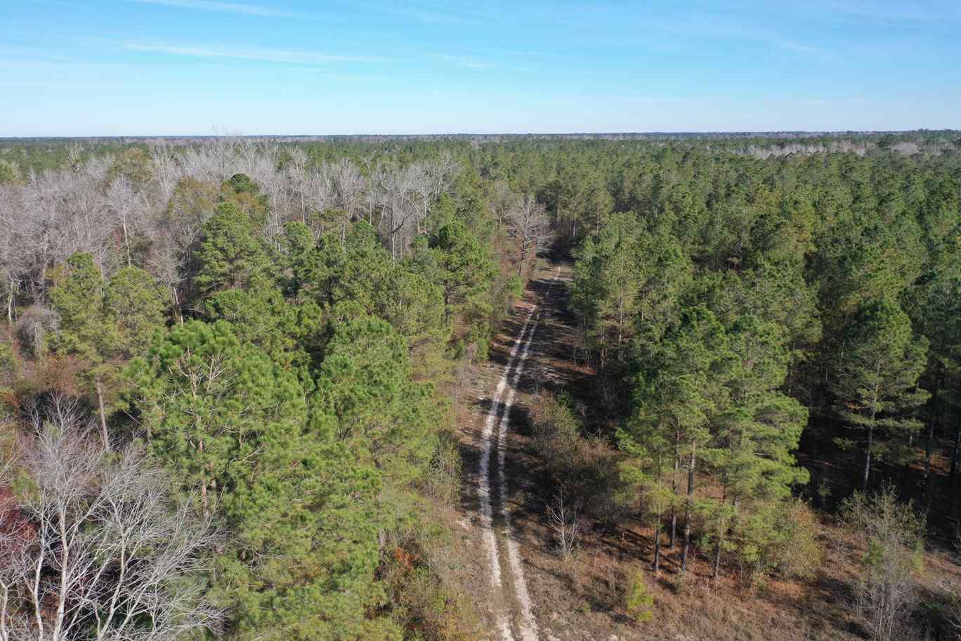 Advance Land and Timber Land for sale property_imgs/dji_446.jpg
