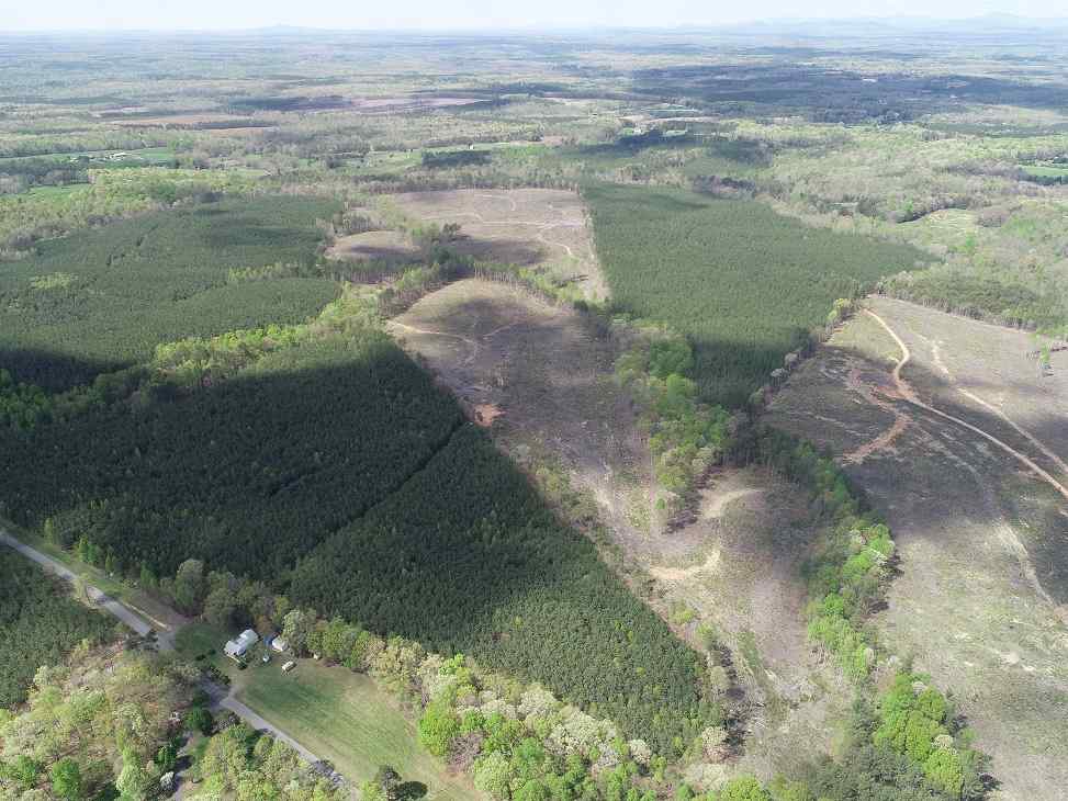 Advance Land and Timber Land for sale property_imgs/dji_6~3.jpg
