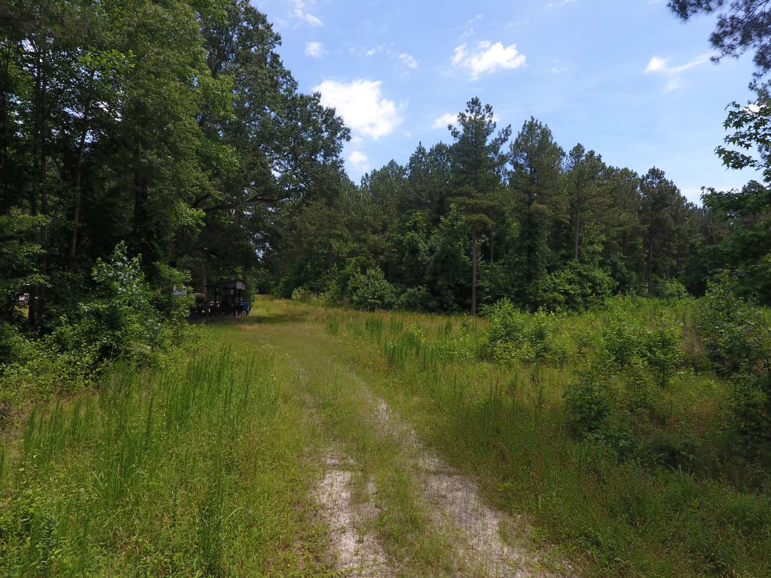 Advance Land and Timber Land for sale property_imgs/dji_71.jpg