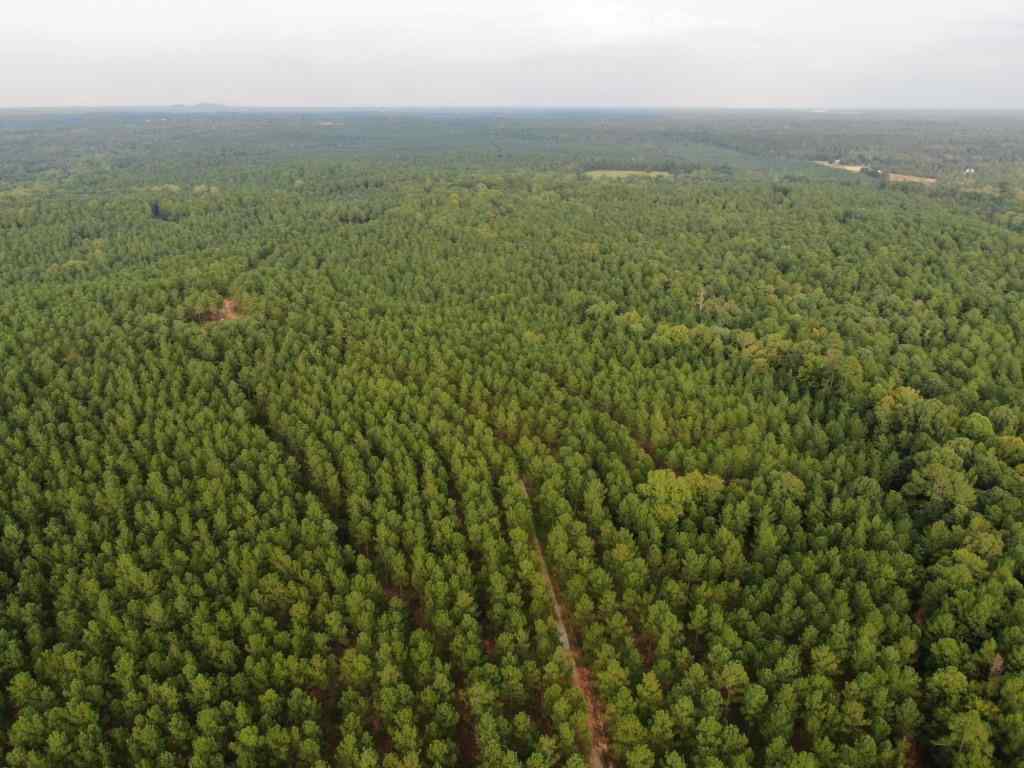 Advance Land and Timber Land for sale property_imgs/droneppl22-282~4.jpg