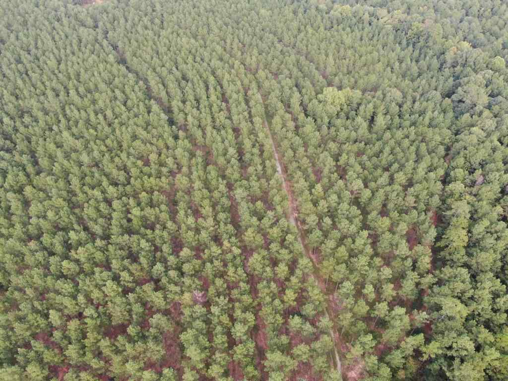 Advance Land and Timber Land for sale property_imgs/droneppl22-28~3.jpg