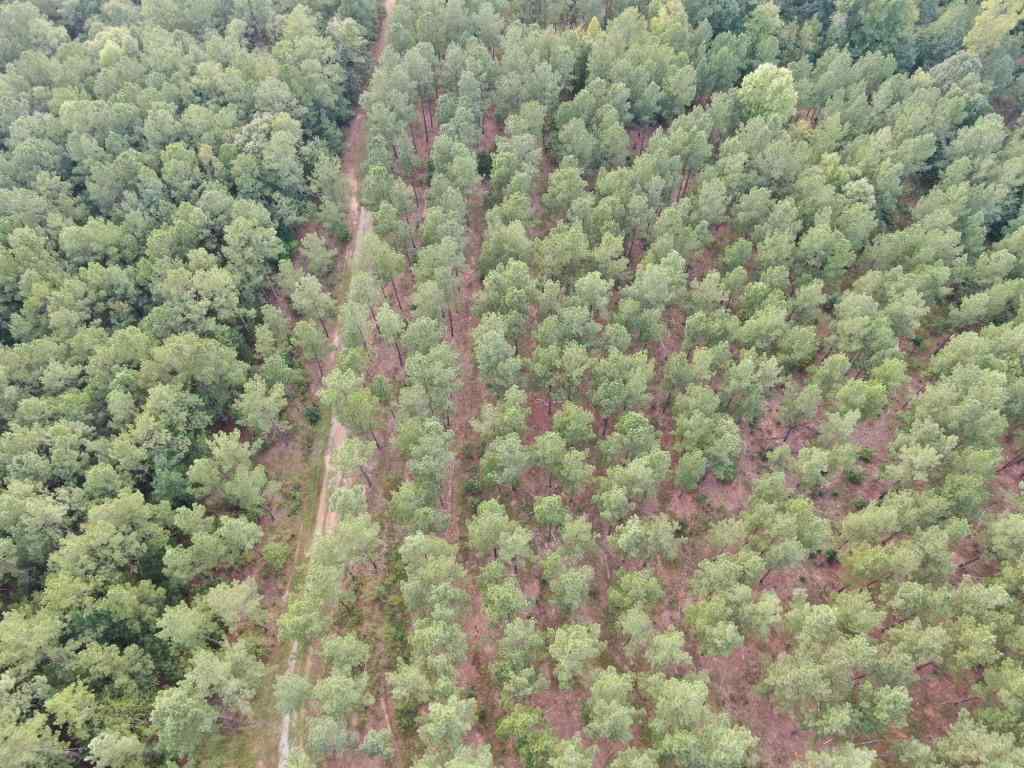 Advance Land and Timber Land for sale property_imgs/droneroadppl22-28~2.jpg