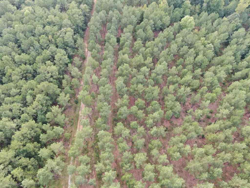 Advance Land and Timber Land for sale property_imgs/droneroadppl22-28~3.jpg