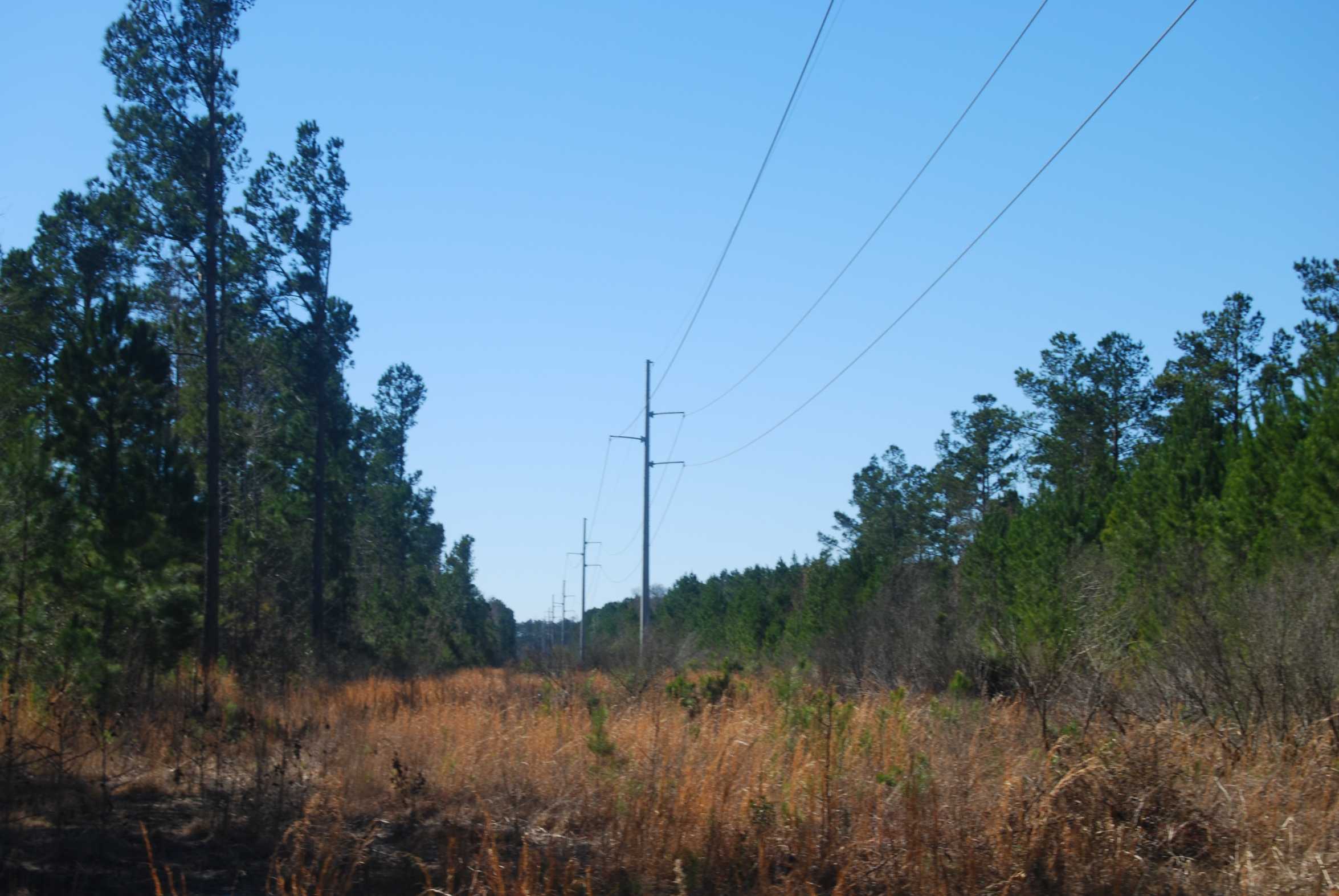 Horry County South Carolina Land for Sale
