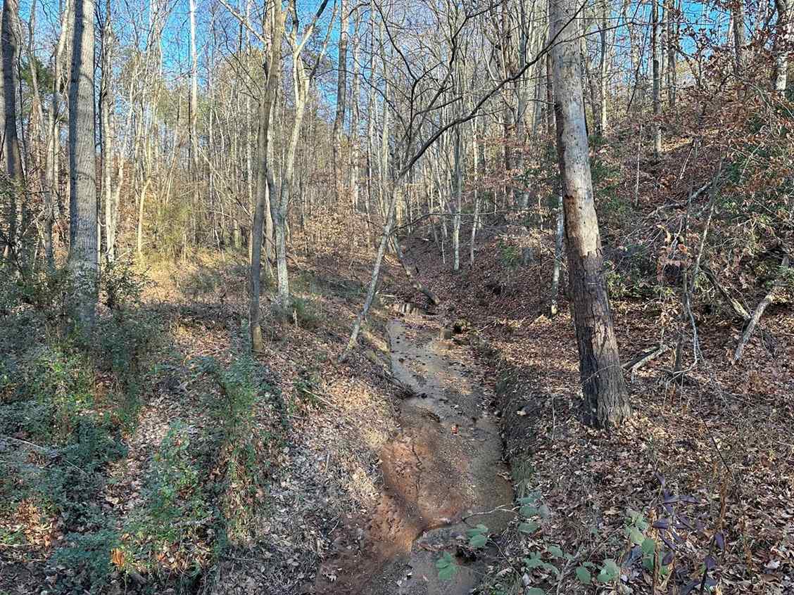 148.60 Acres of land for sale in Fluvanna County, Virginia Advance
