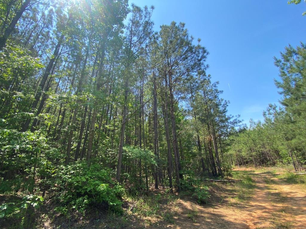 Advance Land and Timber Land for sale property_imgs/e5522f7ac7cd76f19b396595c9c25b40_2026.jpg