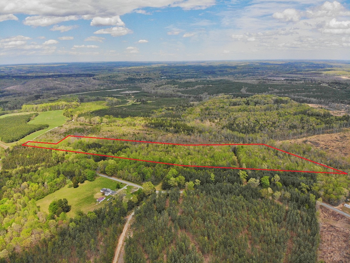 Advance Land and Timber Land for sale property_imgs/eb2e9dffe58d635b7d72e99c8e61b5f2_2258.jpg