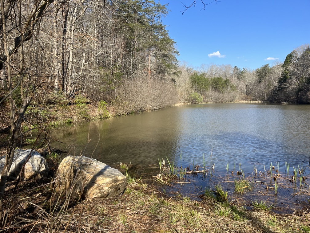 Henry County Virginia Land for Sale