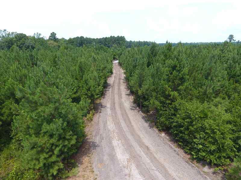 Advance Land and Timber Land for sale property_imgs/f1404c2624fa7f2507ba04fd9dfc5fb1_1891.jpg