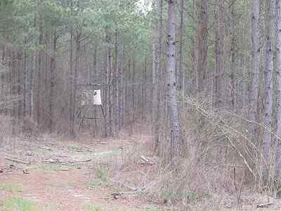 Advance Land and Timber Land for sale property_imgs/f354_3.jpg