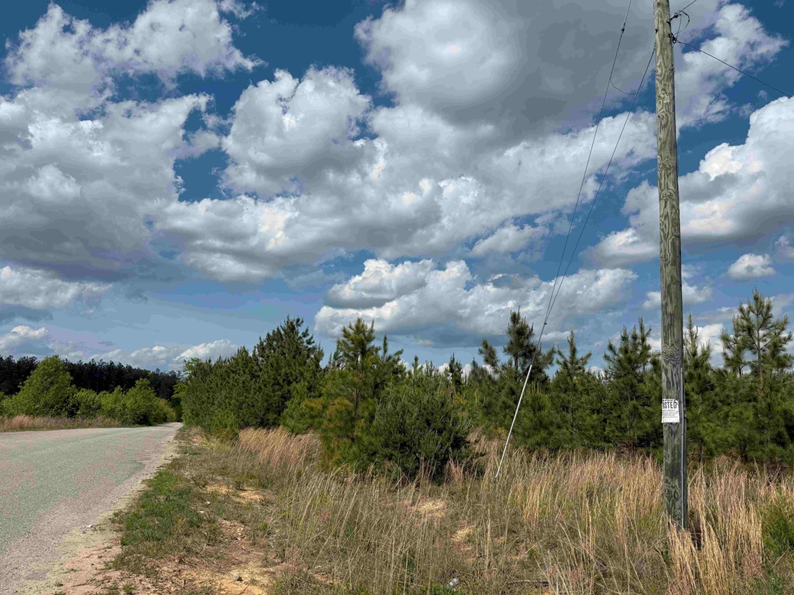 Advance Land and Timber Land for sale property_imgs/f471223d1a1614b58a7dc45c9d01df19_2308.jpg