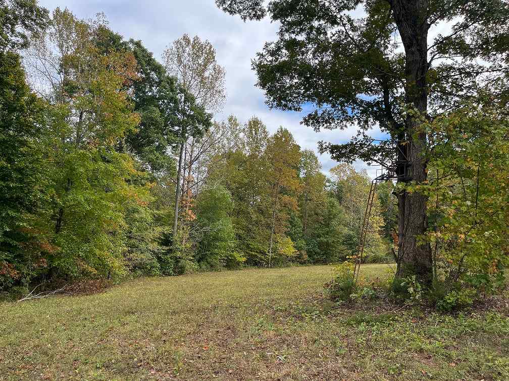 Advance Land and Timber Land for sale property_imgs/f50a6c02a3fc5a3a5d4d9391f05f3efc.jpg
